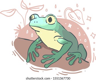 Cute frog isolated on white background . Frog vector illustration