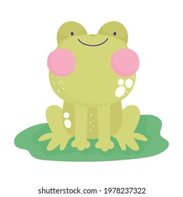 cute frog leaf cartoon isolated