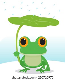 28,073 Frog in rain Images, Stock Photos & Vectors | Shutterstock