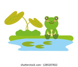 cute frog sitting in the lake