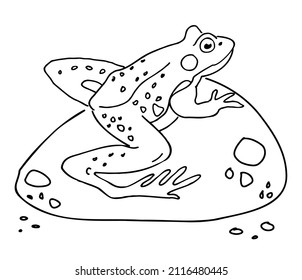 Eisfrösch auf Stein sitzend. Handgezeichnete Kunstillustration für einen Frosch. Vektorgrafik