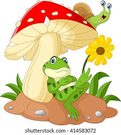 Cute frog and snail cartoon with mushroom