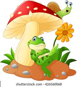 Cute frog and snail cartoon with mushrooms