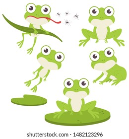 Cute frog vector cartoon characters set isolated on a white background.