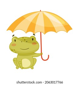Cute frog walking with umbrella. Green funny amphibian toad character cartoon vector illustration