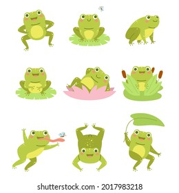 Cute frogs. Lotus flowers and funny cartoon toad character, different poses aquatic reptile, wild fauna, happy frogling in reeds. Beautiful amphibian mascot. Vector cartoon set