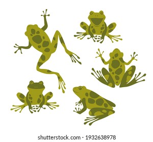 Cute frogs set isolated on white background. Green toads. Vector illustration.