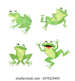 Cute frogs set. Vector illustration of green watercolor frog isolated on white