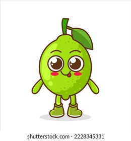 Cute fruit lime cartoon character isolated on white background vector illustration. Funny positive and friendly lime emoticon face icon. Happy smile cartoon face food emoji, comical fruit mascot