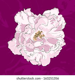 Cute fully editable flower hand drawn in vector. Perfect floral design element. 