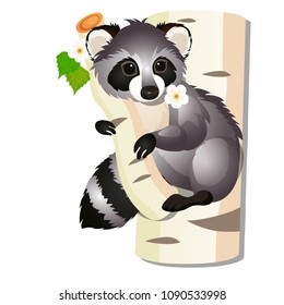 Cute Fun Animated Raccoon Sitting On A Birch Tree Isolated On White Background. Vector Cartoon Close-up Illustration.