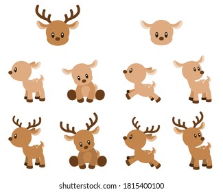 Cute and Fun Deer Vector Illustration Set