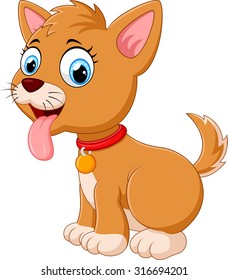 cute fun puppy