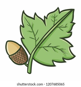 Cute and funny acorn with leaves - vector