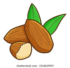 Cute and funny almond with leaves in cartoon style