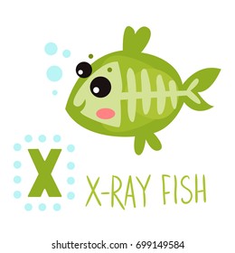 cute and funny animals from the English alphabet set