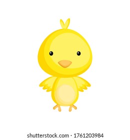 Cute funny baby chicken isolated on white background. Adorable animal character for design of album, scrapbook, card and invitation. Fun zoo. Flat cartoon colorful vector illustration.