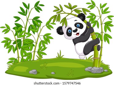 Cute funny baby panda hanging on the bamboo