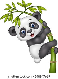 Cute funny baby panda hanging on the bamboo tree