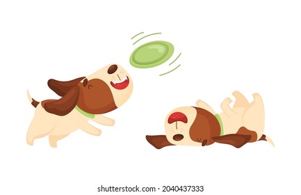 Cute funny beagle dog sleeping and walking set. Cute adorable pet animal playing and running cartoon vector illustration