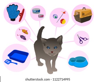 Cute, funny, beautiful pet shop with little gray kitten and his charms. Bowl, tray, cat toys, cat food, paste, canned food, wool brushes.
Modern vector flat design image isolated on white background 
