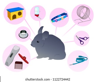 Cute, funny, beautiful pet shop with a little gray chinchilla. Charms for chinchilla, big set, bowl, wheels for running chinchilla, hamster
Modern vector flat design image isolated on white background