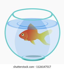 Cute, funny, beautiful pet shop, pet little small goldfish, golden scales, fish, aquarium fish, fish in an aquarium, aquarium with water. Modern vector flat design image isolated on white background