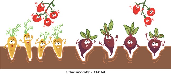 Cute and funny beets, carrots, tomatoes characters with human face showing different emotions, cartoon vector illustration isolated on white background.