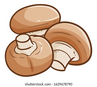 Cute and funny big rounded mushroom ready to get cooked