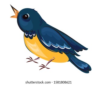 A cute, funny bird is a titmouse with blue feathers and yellow breasts. He sits and carefully looks up. Isolated illustration on a white background. Vector graphics, cartoon style, flat.