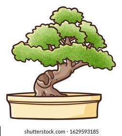 Cute and funny "Bonsai", or an ornamental tree, planted in a pot, to prevent reaching in normal size