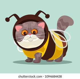 Cute funny British cat in bee costume suit. Fashion modern style for domestic animals concept isolated flat cartoon graphic design illustration