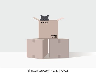 Cute and funny British cat in a box while moving 