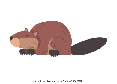 Cute Funny Brown Beaver Wild Rodent Cartoon Vektorgrafik