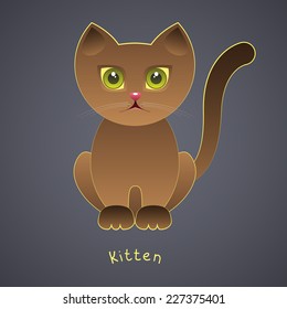 Cute funny brown kitten with green eyes on a gray background