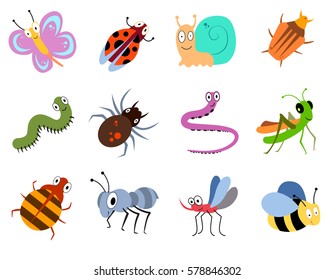 Cute and funny bugs, insects vector collection. Collection of cartoon insects ladybug and butterfly illustration