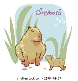 cute funny capybara with baby on cartoon animal rodent vector illustration isolated on white.