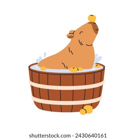 Cute funny capybara bathing in water, hot bath with fruits. Happy capy enjoying, relaxing, resting in barrel with yuzu. Adorable lazy capibara. Flat vector illustration isolated on white background