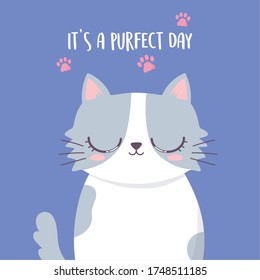 Cute funny cartoon cat animal character and lettering "It's a purfect day" vector illustration