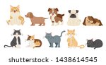 cute funny cartoon dogs and cats on the white background