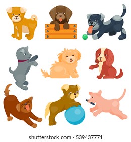 Cute funny cartoon dogs vector puppy pet characters different breads doggy illustration. Furry human friends home animals