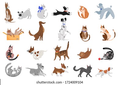 Cute funny cartoon domestic pets characters flat vector illustration. Different breed of cats and dogs walking, playing and posing.