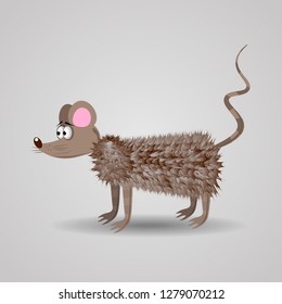 Cute Funny Cartoon Fluffy Rat vector illustration