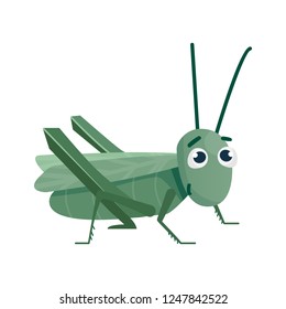 cute and funny cartoon grasshopper on white background