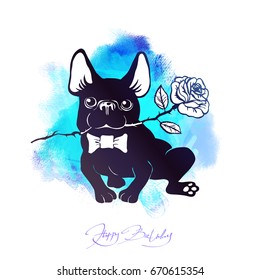 Cute and funny cartoon puppy French Bulldog with bow-tie  and roses.  Lettering HAPPY BIRTHDAY! Vector  illustration for print. Hand drawn elements for congratulation. Hipster insignia in comic style