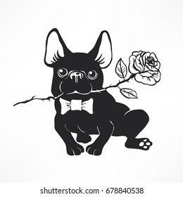 Cute and funny cartoon puppy French Bulldog with bow-tie  and roses.  Vector  illustration for print. Hand drawn elements for congratulation. Hipster insignia in comic style