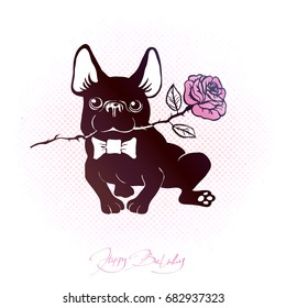Cute and funny cartoon puppy French Bulldog with bow-tie  and roses.  Lettering HAPPY BIRTHDAY! Vector  illustration for print. Hand drawn elements for congratulation. Hipster insignia in comic style