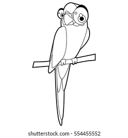 Cute funny cartoon style coloring bird illustration. Macaw
