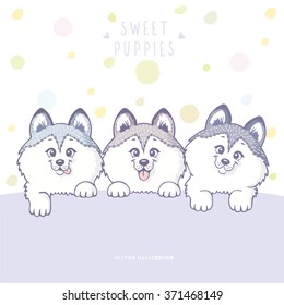 Cute and funny cartoon three puppy husky dog with place for text. Character happy three puppies. Vector illustration