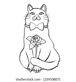 Cute funny cat with bow tie holding flower on appointment linear hand drawing, cartoon character, vector black and white illustration, coloring, sketch, outline picture isolated on white background